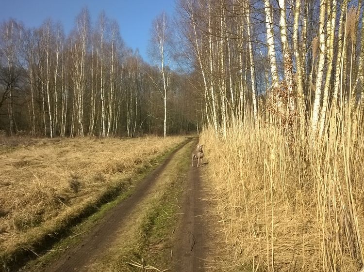 635597725917283106_wynik.jpg