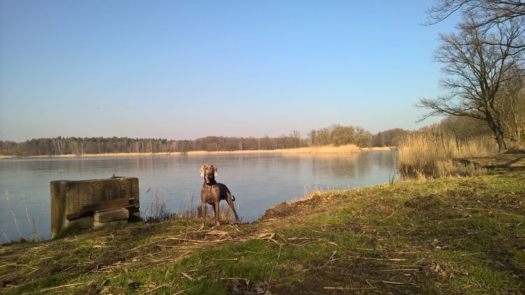 WP_20150217_12_40_53_Pro_wynik.jpg