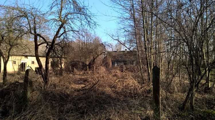 WP_20150217_13_03_05_Pro_wynik.jpg
