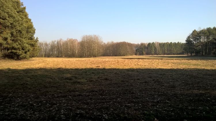 WP_20150217_13_15_53_Pro_wynik.jpg