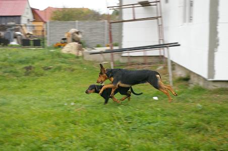 IMGP5957.jpg