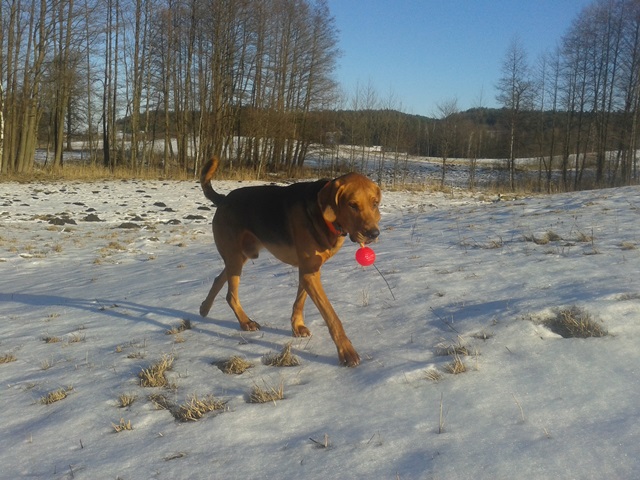 20150217_143003.jpg