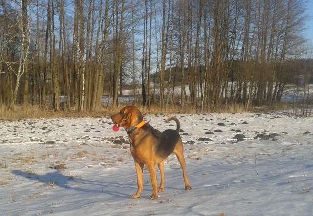 20150217_142959.jpg