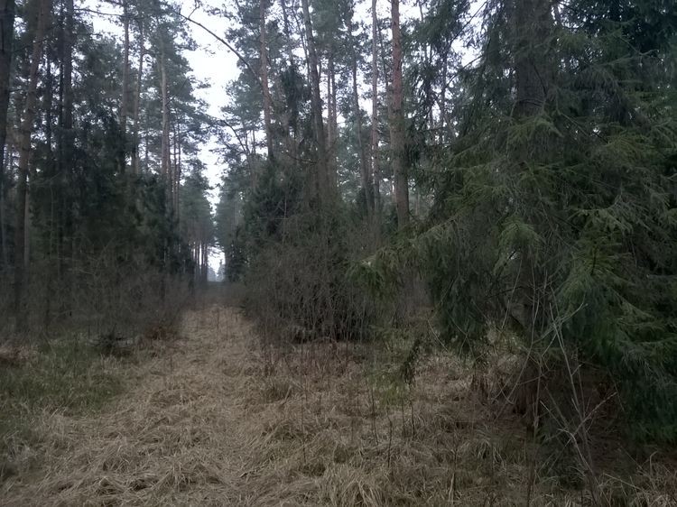 635598594740337074_wynik.jpg