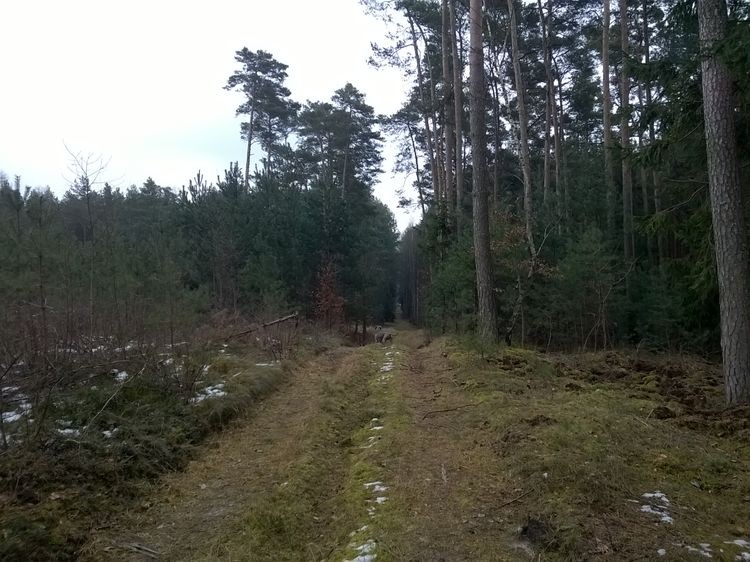 635598598681551931_wynik.jpg