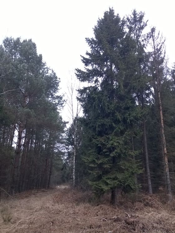 635598603474910384_wynik.jpg