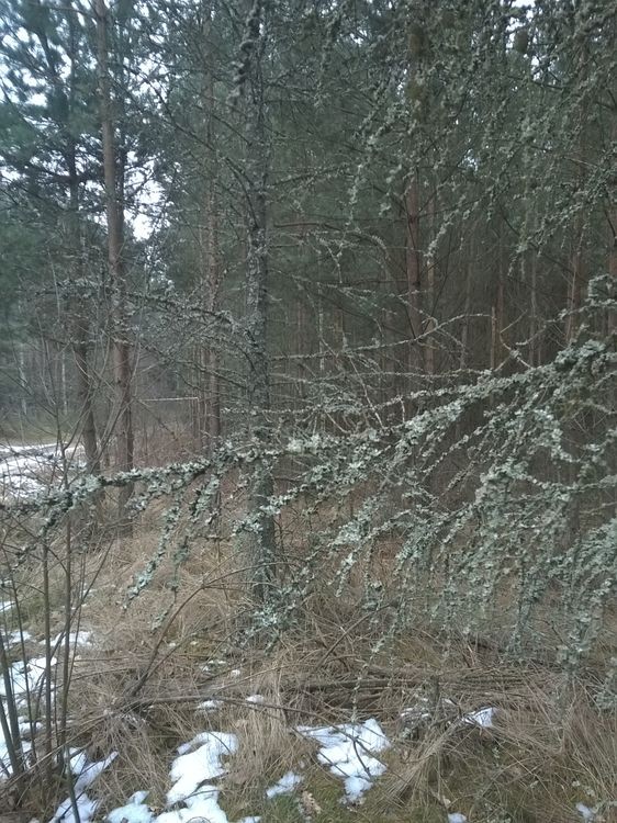 635598609785605721_wynik.jpg