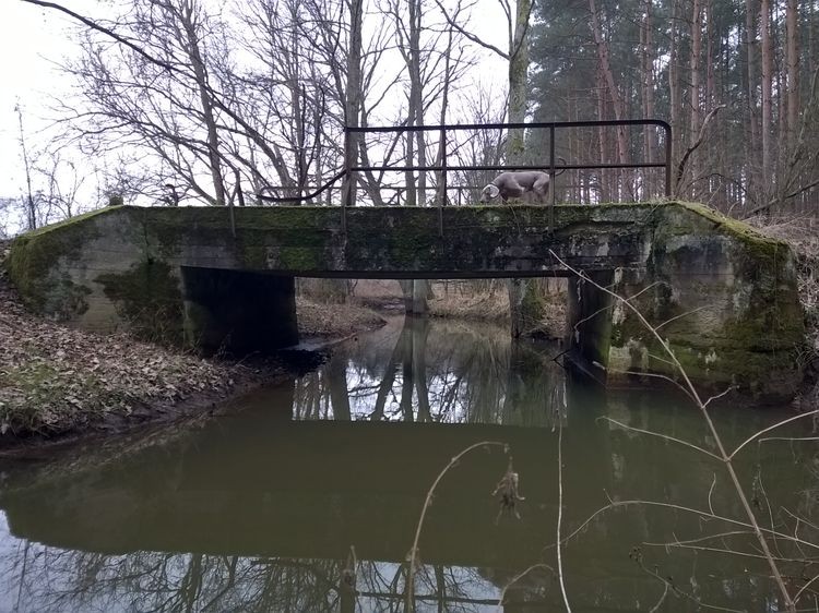 635598616027134510_wynik.jpg