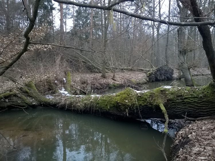 635598627293893881_wynik.jpg