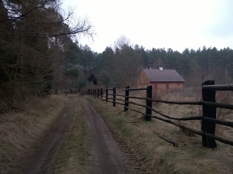 635598616687242141_wynik.jpg