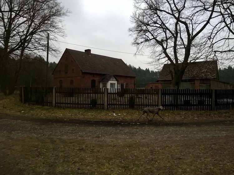 635598635275582177_wynik.jpg