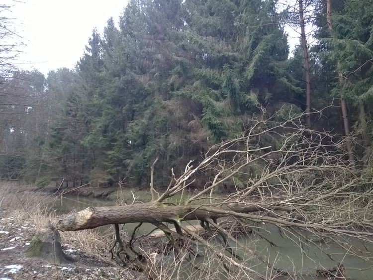 635598644732786437_wynik.jpg