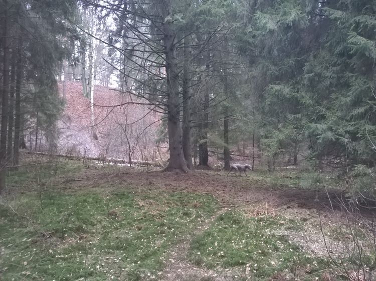 635598649728457008_wynik.jpg