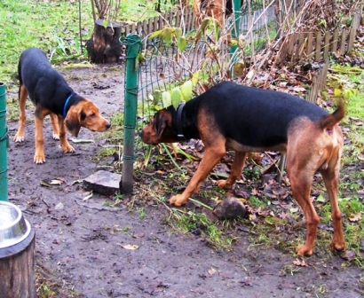 zdjęcia 036_640Kadr.jpg