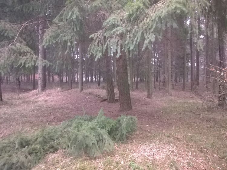 635598663534011206_wynik.jpg