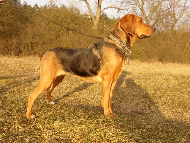 SAM_2114.JPG