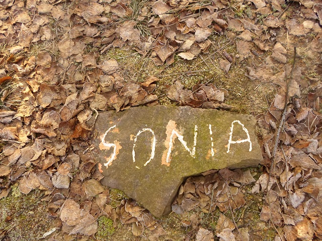 Orla8.JPG