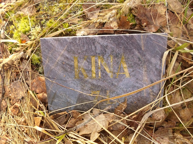 Orla11.JPG