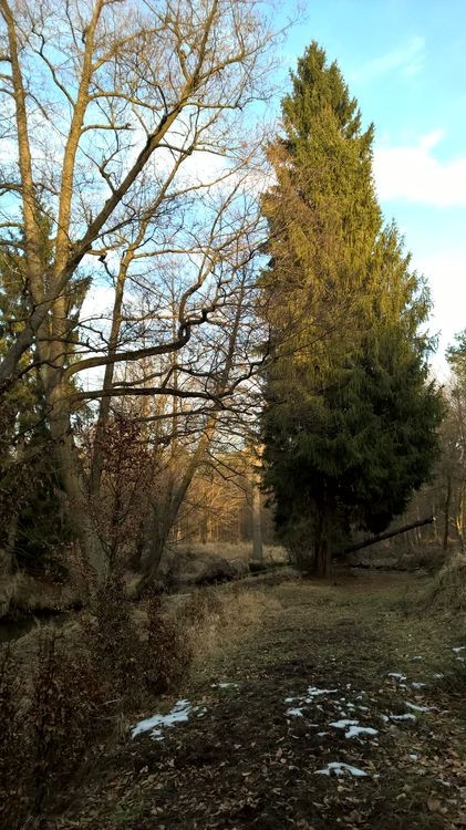 WP_20150221_16_00_21_Pro_wynik.jpg