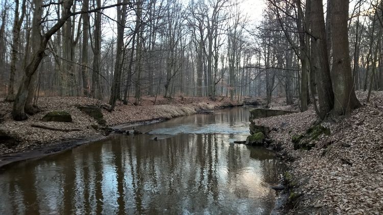 WP_20150221_16_50_25_Pro_wynik.jpg