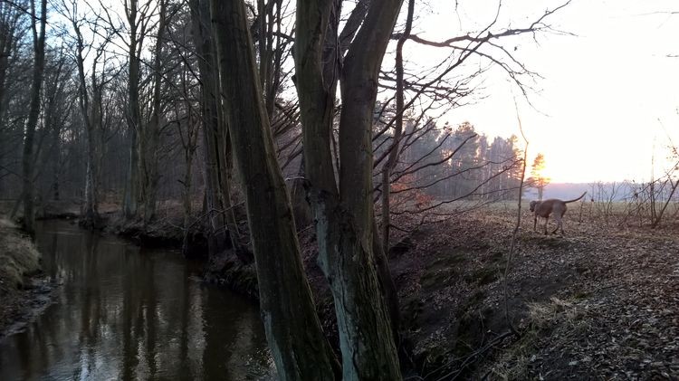 WP_20150221_16_52_39_Pro_wynik.jpg
