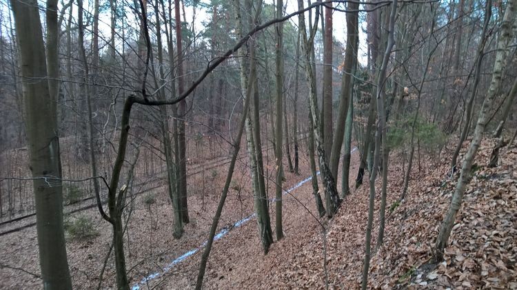 WP_20150221_16_46_02_Pro_wynik.jpg