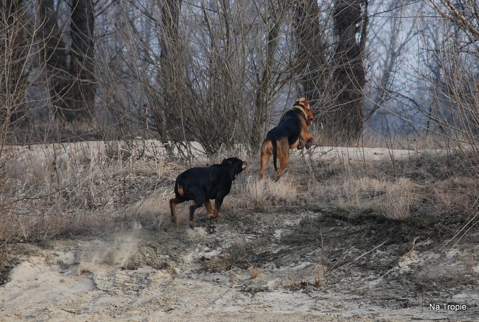 DSC_8145.JPG
