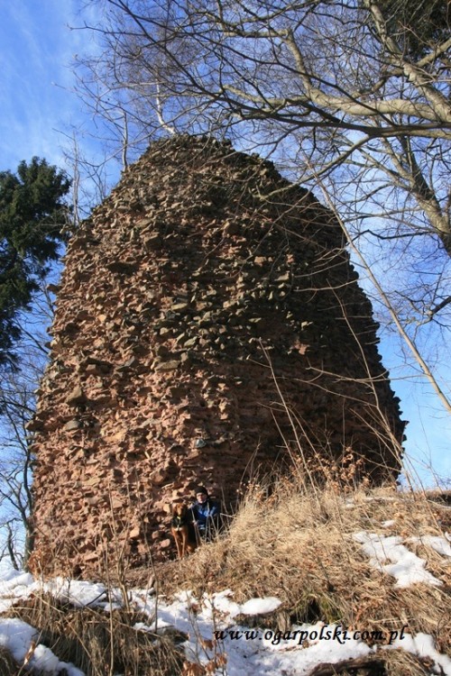 Ruiny Zamku Radosno.