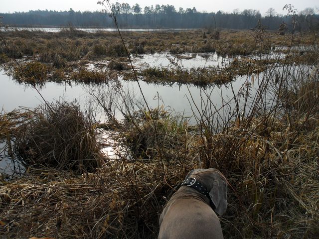 SAM_7016.JPG