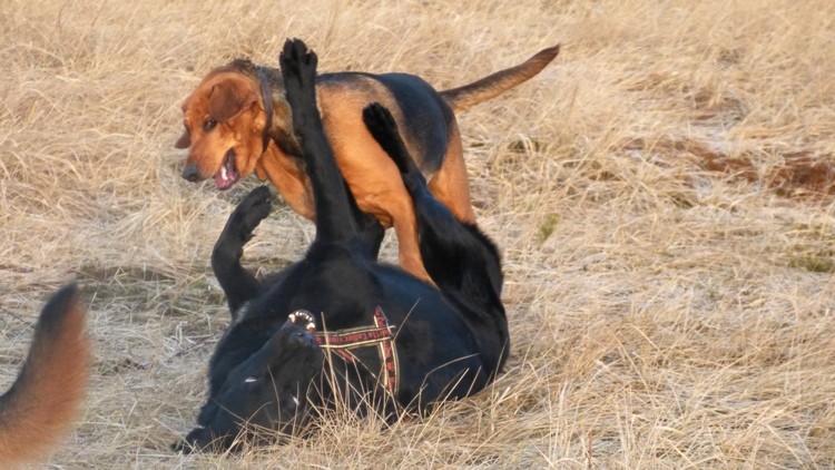 3.JPG