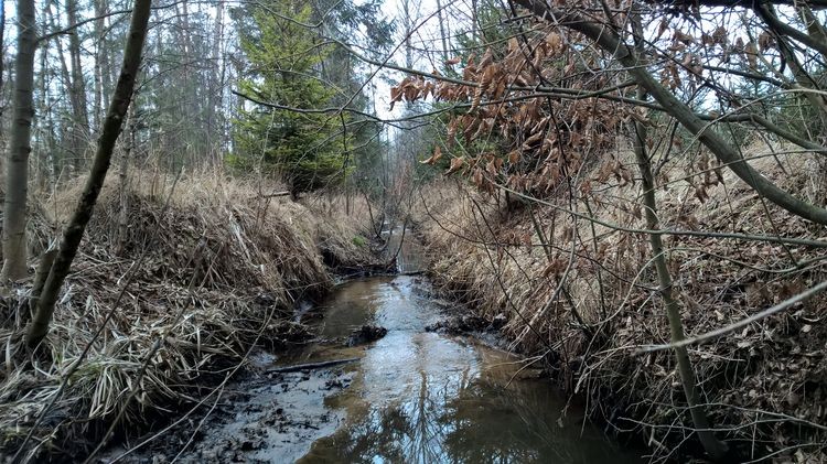 WP_20150222_13_07_22_Pro_wynik.jpg