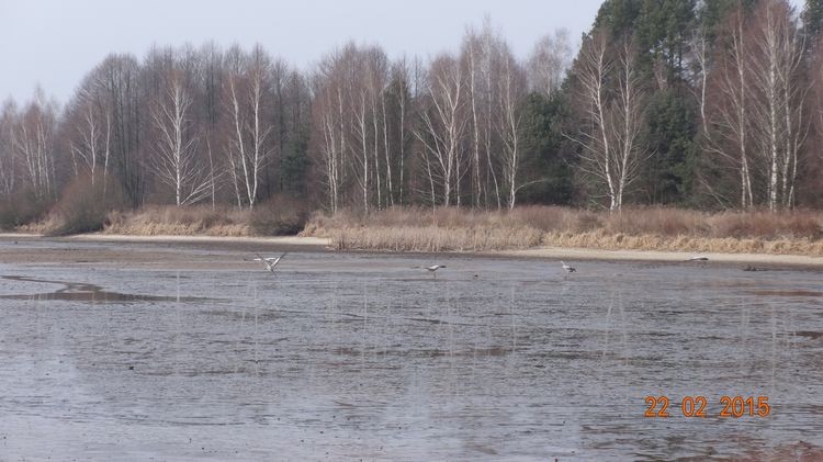 DSC03558_wynik.JPG