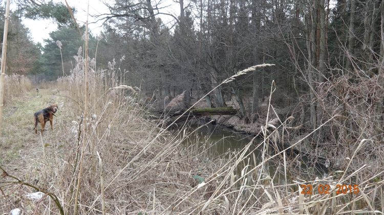 DSC03609_wynik.JPG