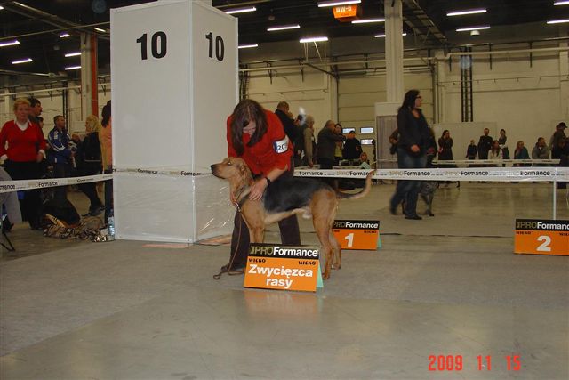 Zenek-2.JPG