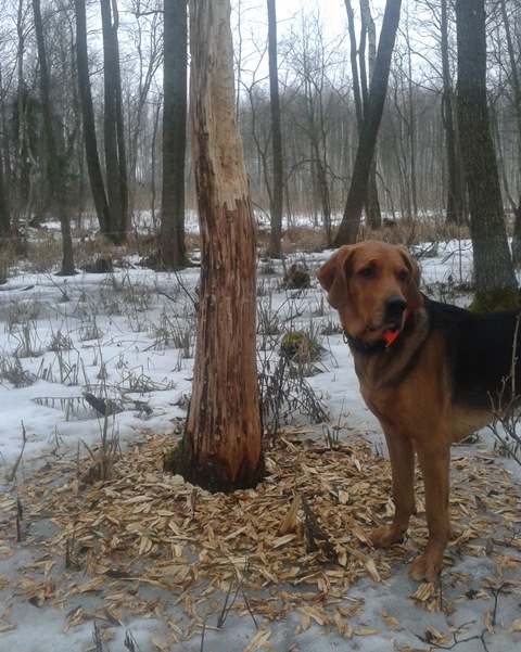 20150219_151732.jpg