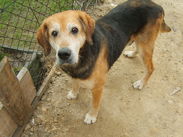 NASZA CHATYNKA 9 KWIECIEN 2009 032.jpg