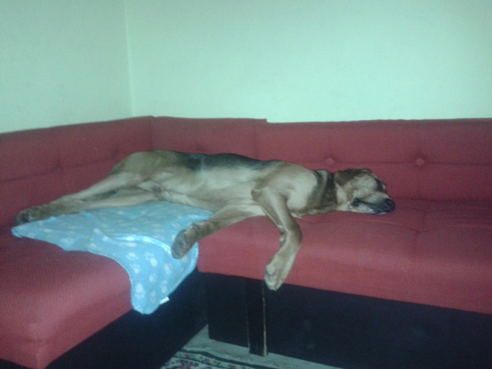 20150228_211556.jpg