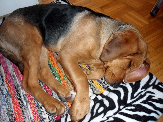 SAM_7097.JPG