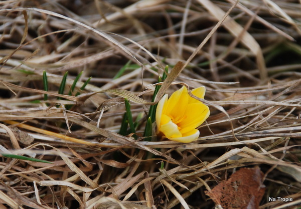 DSC_8264.JPG