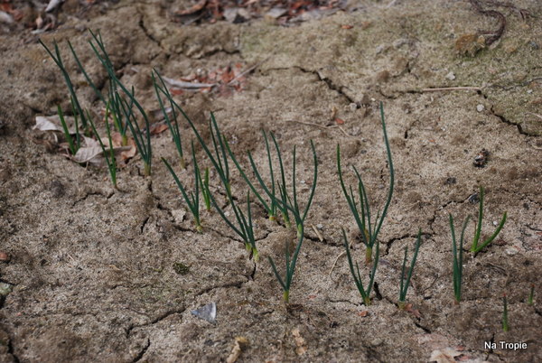 DSC_8266.JPG