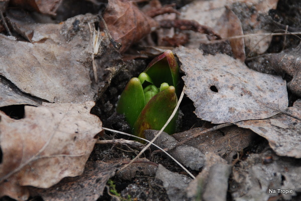 DSC_8267.JPG