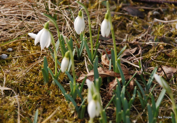 DSC_8269.JPG