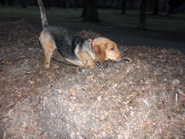 SAM_7134.JPG