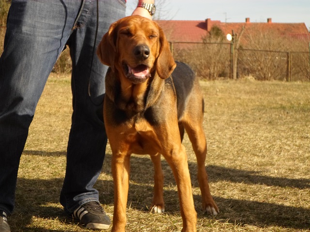 Bardzo pozytywny Gucio.