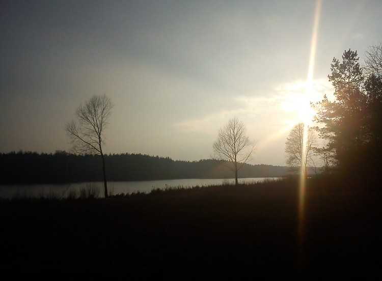 DSC01561_.jpg
