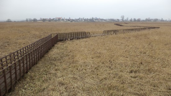 spacer kładką po Narwi.JPG