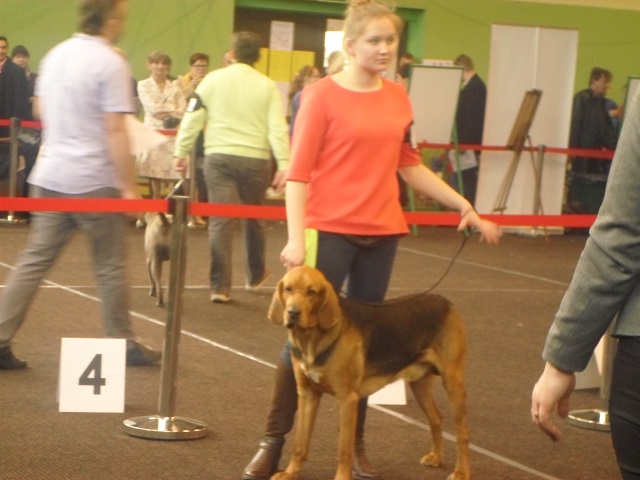Pośrednia. Bachmat.