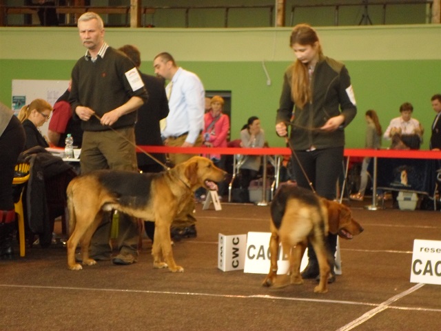 Otwarta. Rudy i Vik.