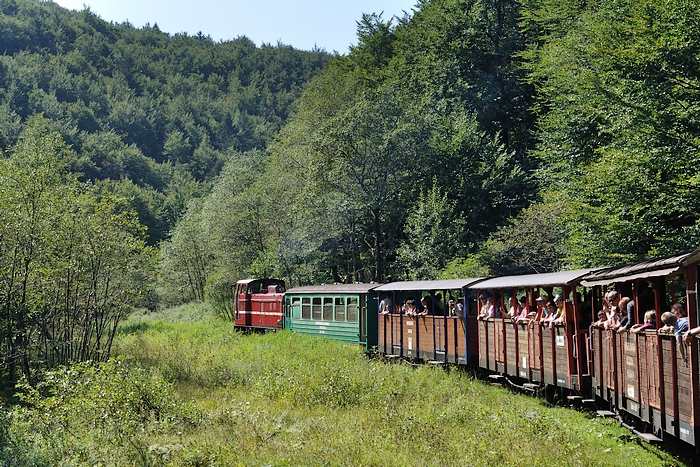 DSC_0710.jpg
