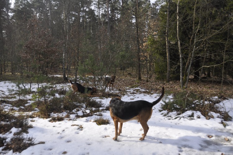tata dogląda młodzież